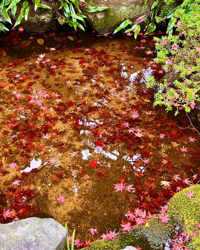 6C8428F2-372F-4C18-AEB5-C1F134472EA0