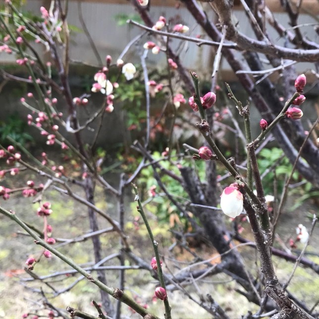 BD0CB76D-9E26-44E4-83FB-5916F48D45F8