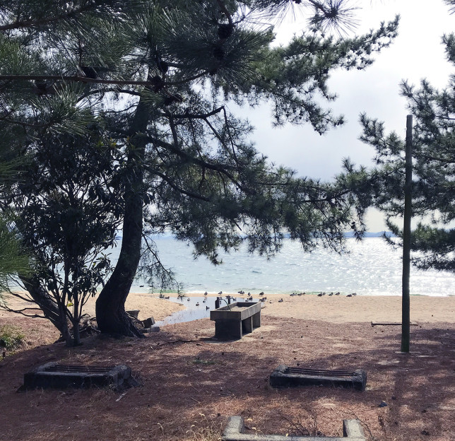 IMG_9312のコピー